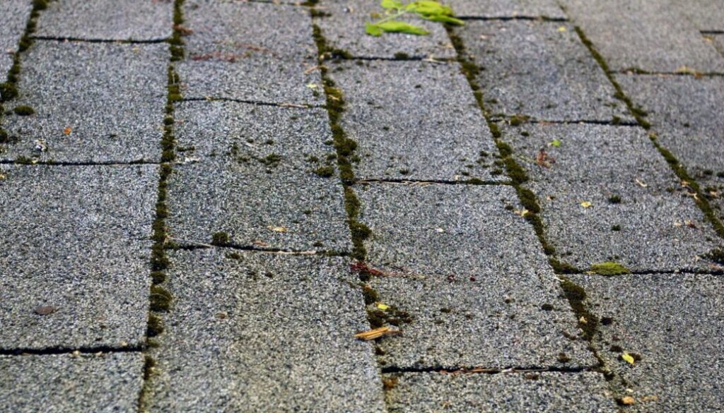 8 Spring Home Maintenance Tips, blog post, South Sound Inspections