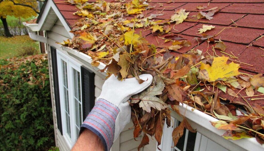 7 Tips for Spring Home Maintenance, Blog Post, South Sound Inspections