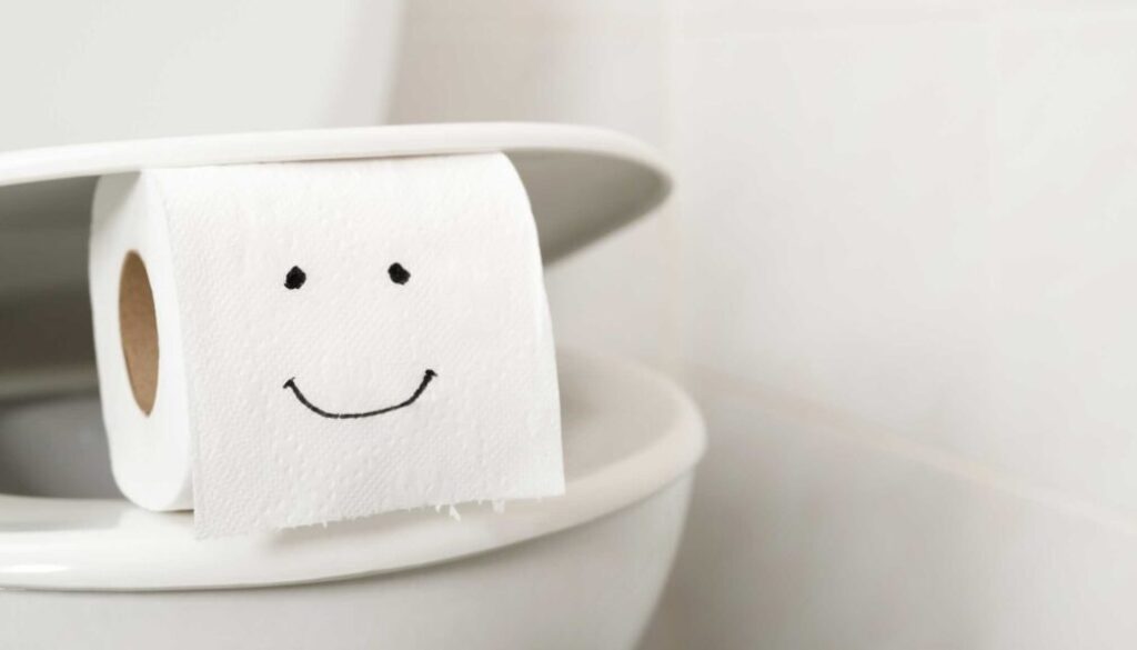 Toilet Do's and Don'ts Toilet Do's and Don'ts, Blog Post, South Sound Inspections