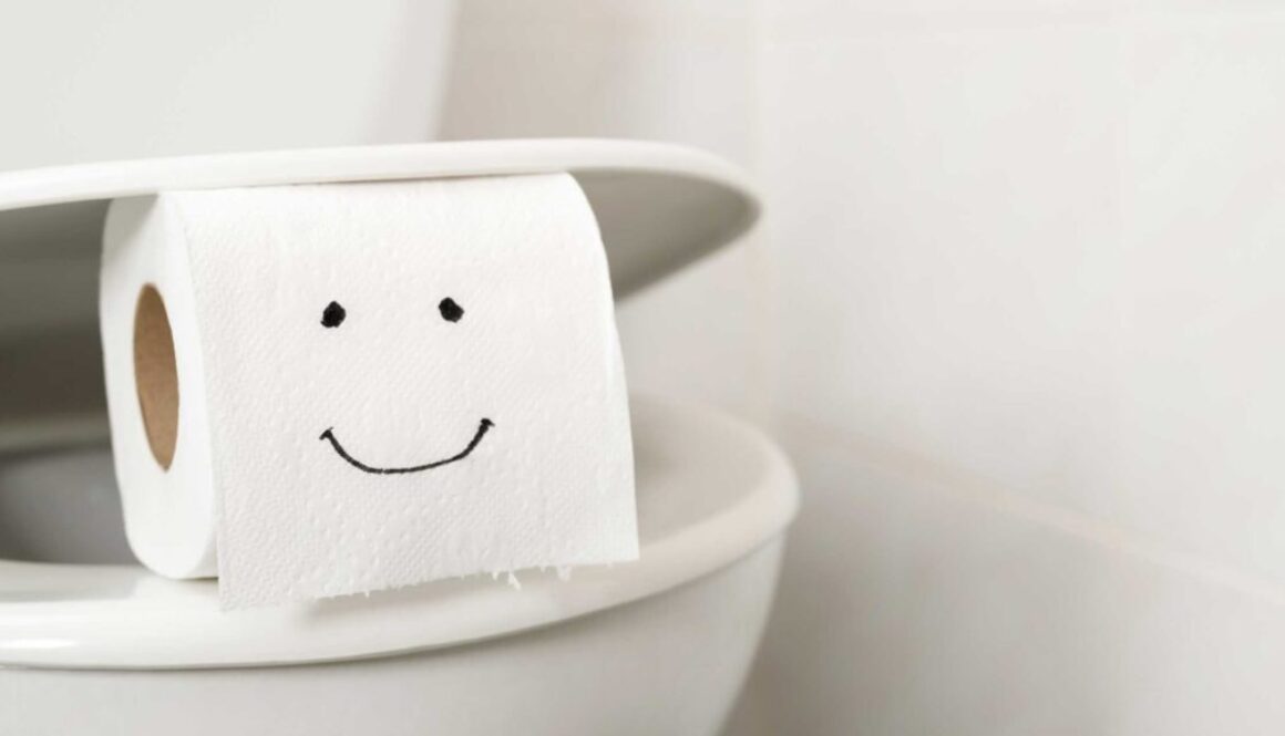 Toilet Do's and Don'ts, Blog Post, South Sound Inspections