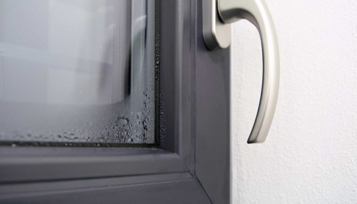 High Humidity in the Home, Blog Post, South Sound Inspections