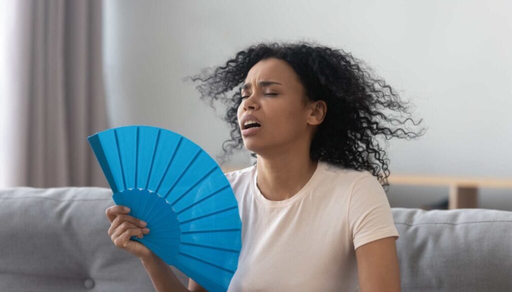 How to Keep Your Home Cool in Summer How to Keep Your Home Cool in Summer, Blog Post, South Sound Inspections