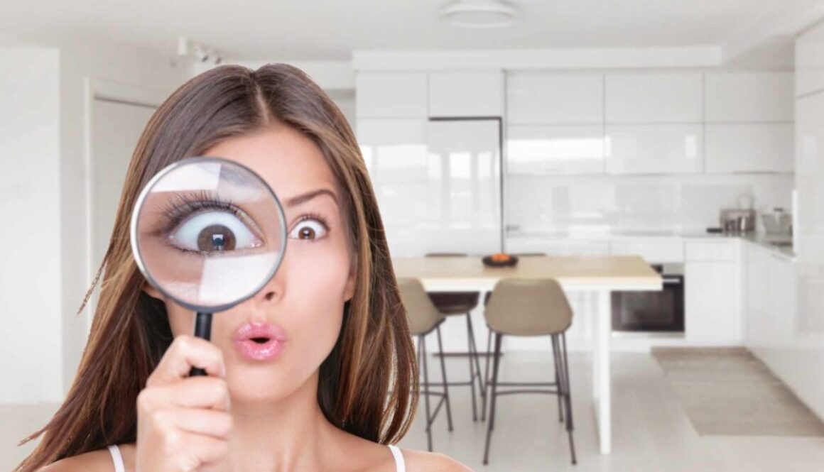 Things People Try To Hide From Home Inspectors blog Things People Try To Hide From Home Inspectors, South Sound Inspections, Blog Post