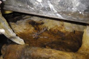 southsoundinspections_photos_013-50% southsoundinspections_photos_013-50%