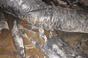 southsoundinspections_photos_014-50% southsoundinspections_photos_014-50%