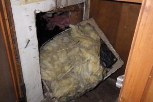 southsoundinspections_photos_015-50% southsoundinspections_photos_015-50%